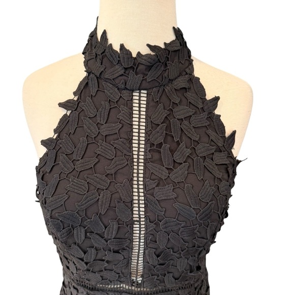 Bardot Kara Lace Halter Midi Dress Backless Party Sheath Sheer Gemma LBD Size 6 - Picture 6 of 14